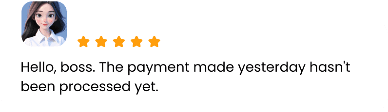 Paylink US 24/7 payout support experience